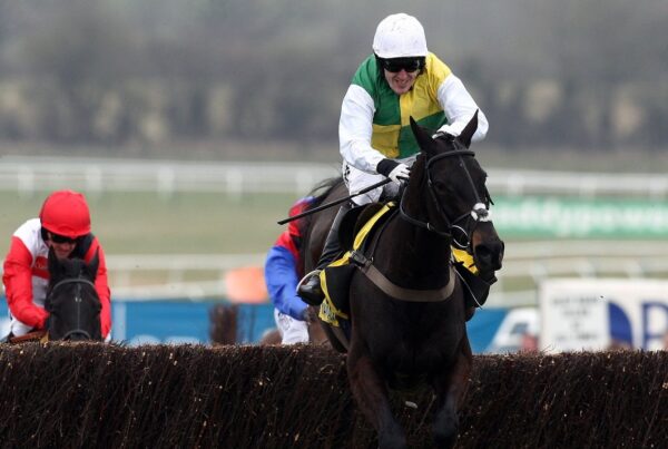 ALBERTAS RUN 2010 FESTIVAL