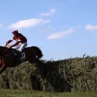 Grand National winner 2018