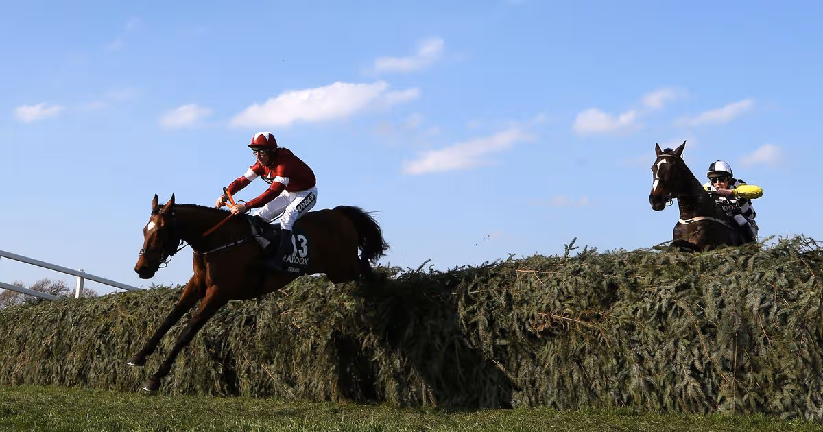 The Grand National 2019