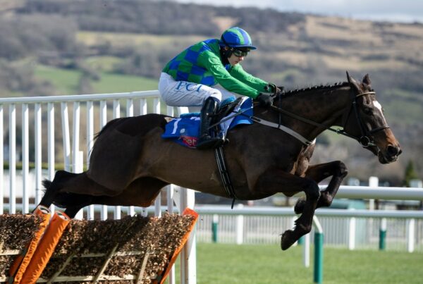 Appreciate It Supreme Novices Hurdle Cheltenham 2020