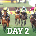 CHELTENHAM FESTIVAL DAY 2 TIPS