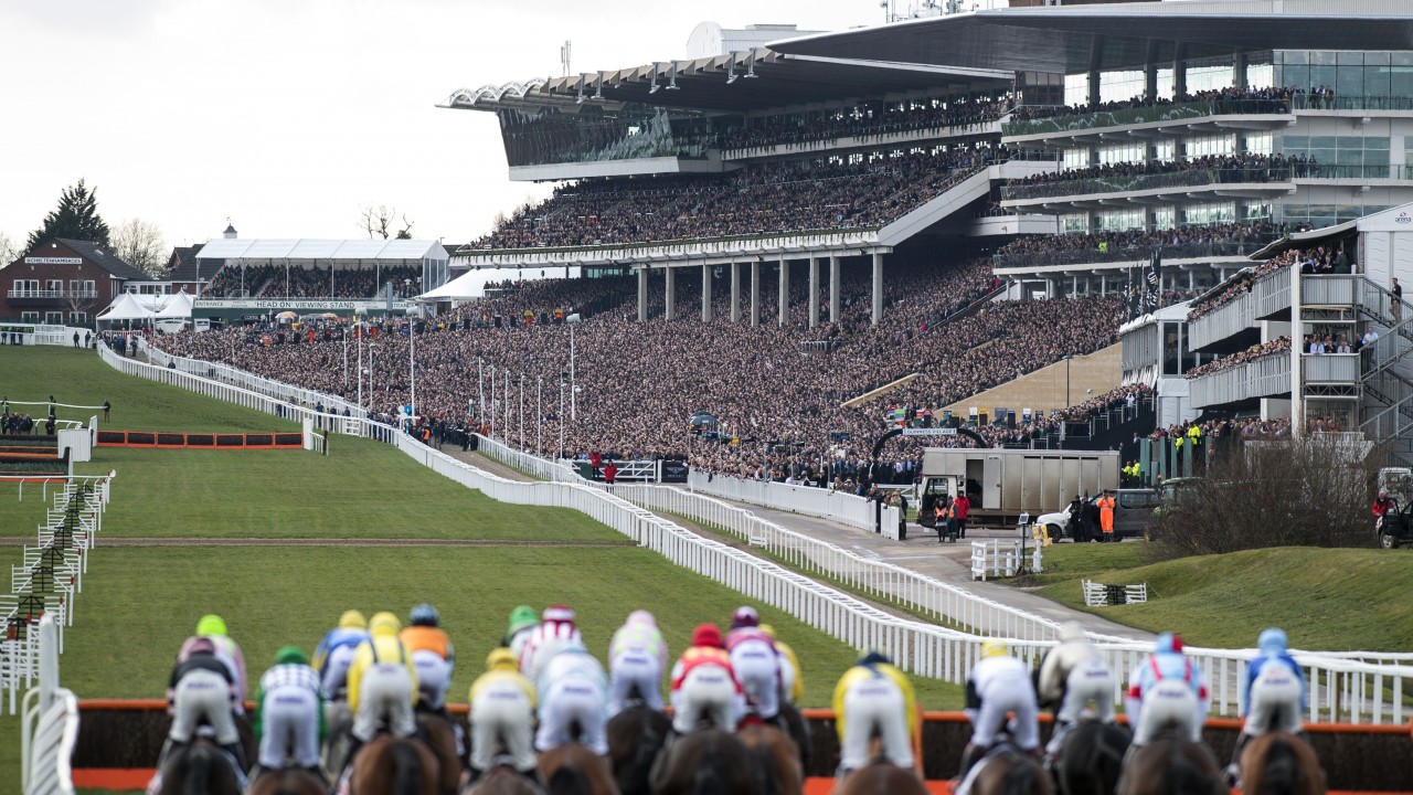 Cheltenham racecourse facilities