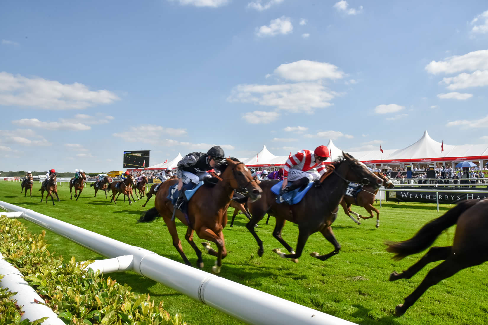 Doncaster racecourse finish