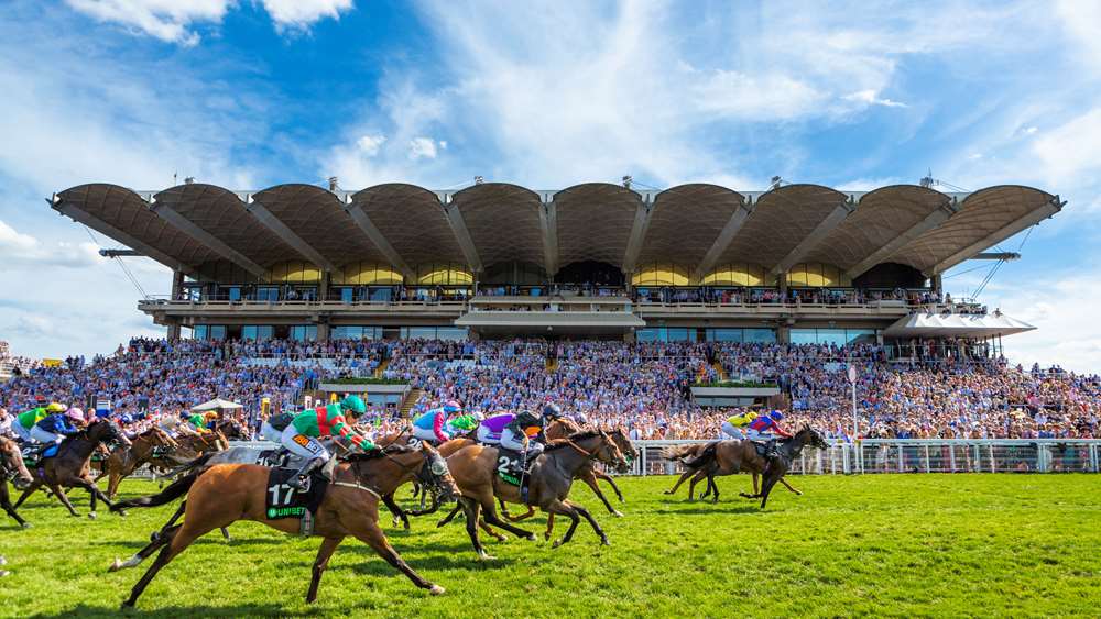 Goodwood Racecourse