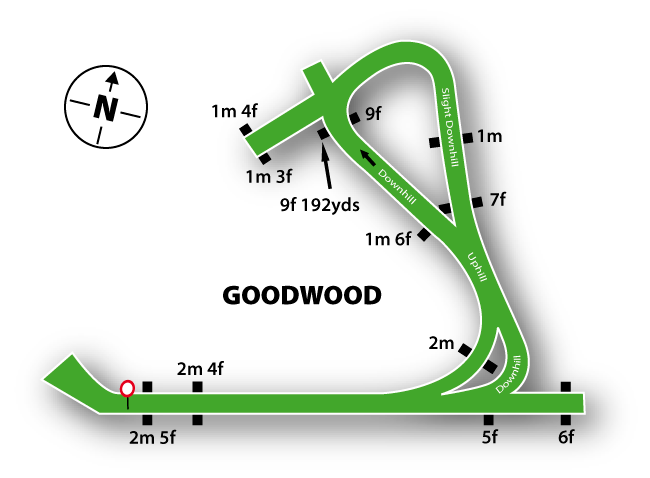 Goodwood racecourse