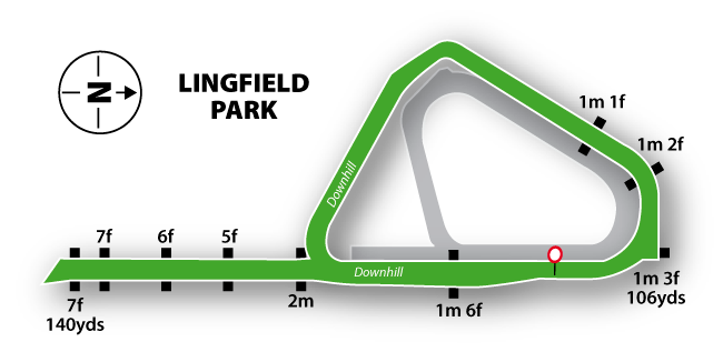 Lingfield Park flat turf Racecourse