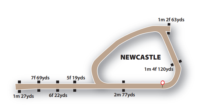 Newcastle allweather flat Racecourse