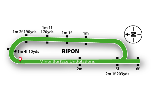 Ripon Racecourse featured