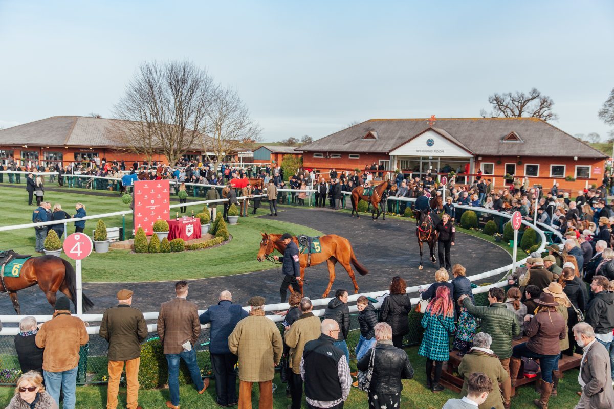 bangor racecourse