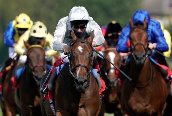 Palace Pier unbeaten and tipped to win The St James's Palace at Royal Ascot
