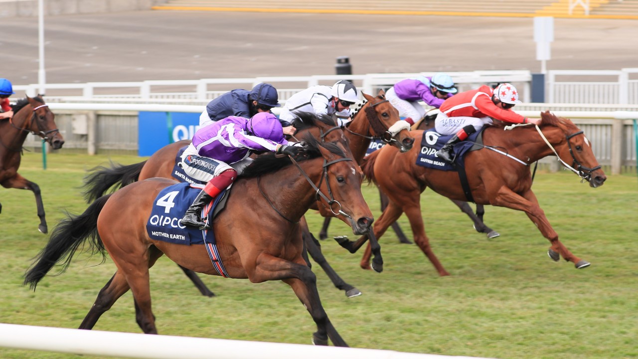 Fev Rover Just Beaten in 1000 Guineas