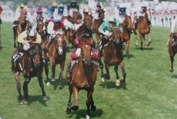 Sweet Glow wins the Ascot Stakes 1994 as planned