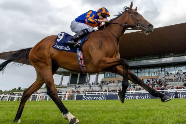 Newmarket 1000 guineas tips