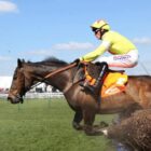 Supreme Novices hurdle tips for Cheltenham