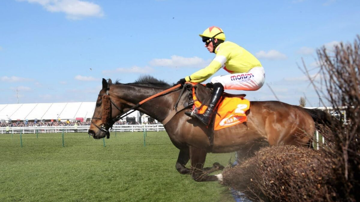 The Supreme Novices Hurdle 2026