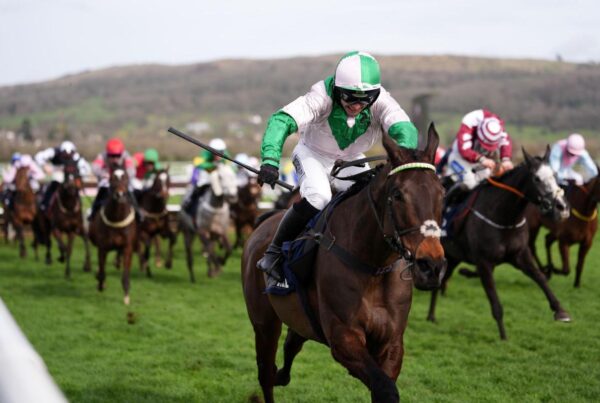 The County Hurdle winning tips for Cheltenham