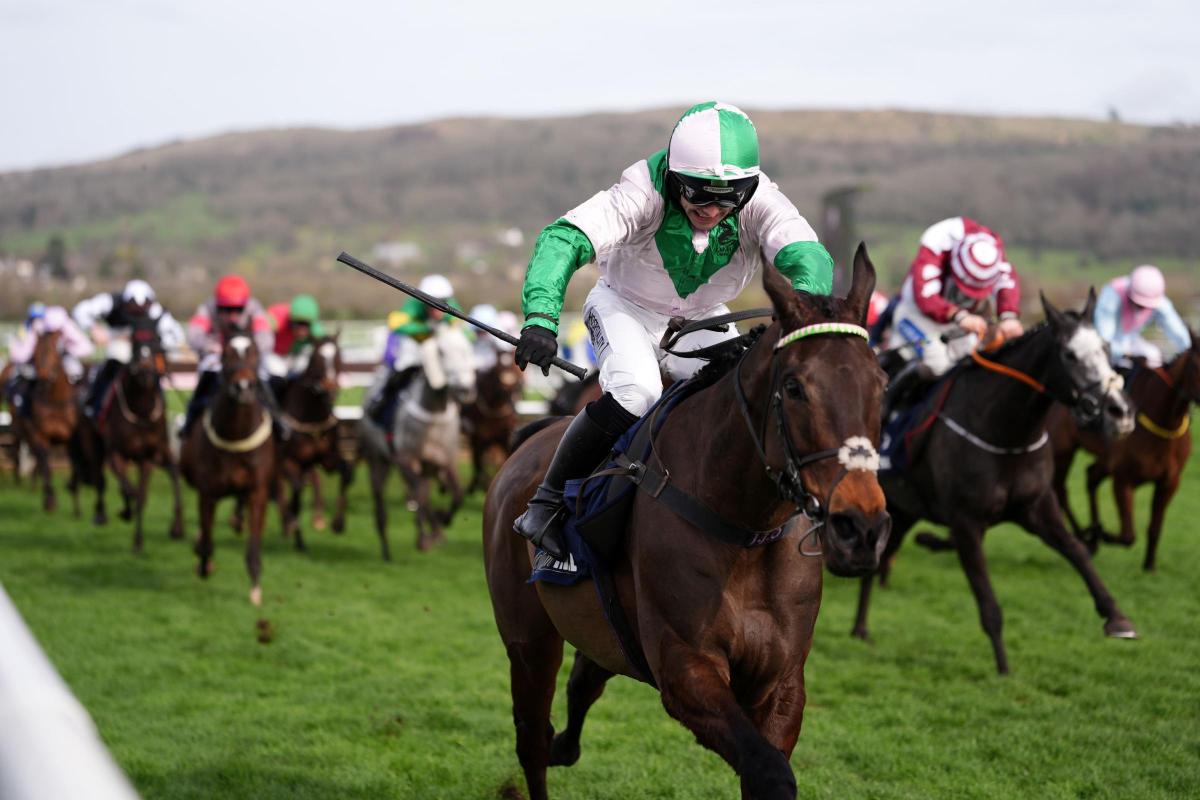 The County Hurdle 2026