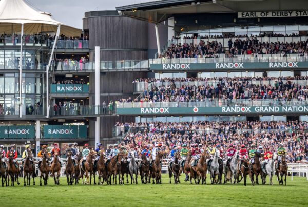 The Grand National Tips website