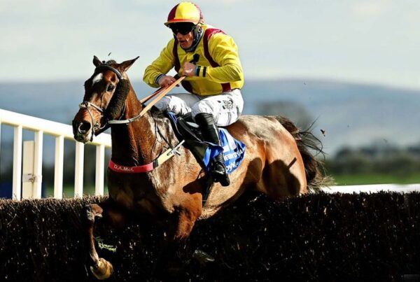 The Irish Grand National tips