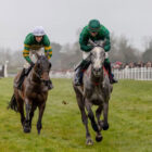 The Irish Grand national tips