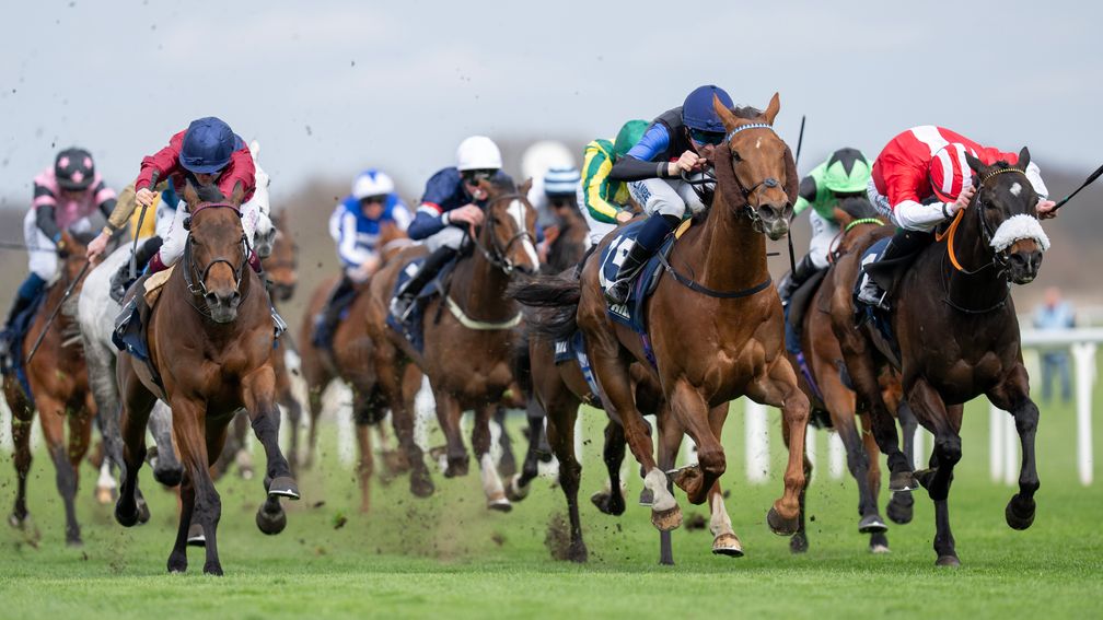 The Lincoln Handicap Doncaster 2026