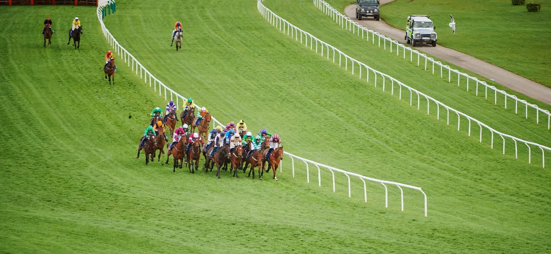 The Triumph Hurdle 2023