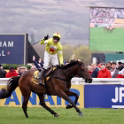 protektorat ryanair chase winner 2024