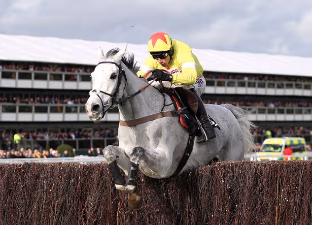 Cheltenham Queen Mother Champion Chase 2026