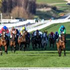 tips for the Cheltenham Champion Bumper