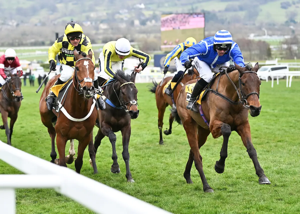 The Triumph Hurdle 2026